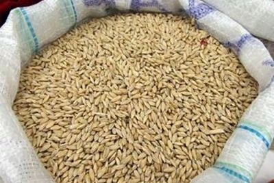 Полипропиленовые мешки и биг бэги для пшеницы в Иркутске